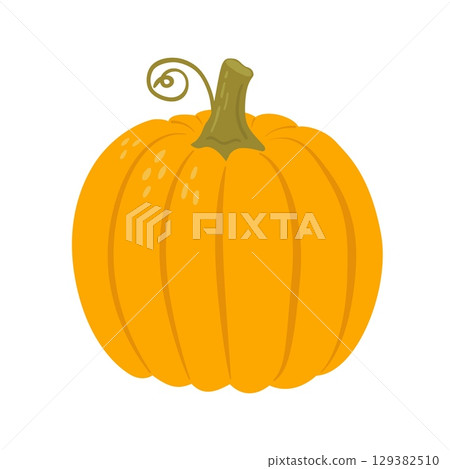 Pumpkin flat icon isolated on white background. Autumn vegetable vector illustration. Vegan food 129382510