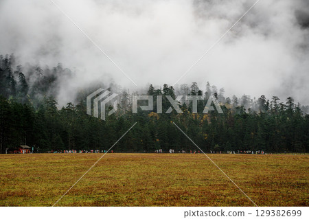 Misty Peaks Over Spruce Meadow in Yulong Snow Mountain, Lijiang, China Misty Peaks Over Spruce Meadow in Yulong Snow Mountain, Lijiang, China 129382699
