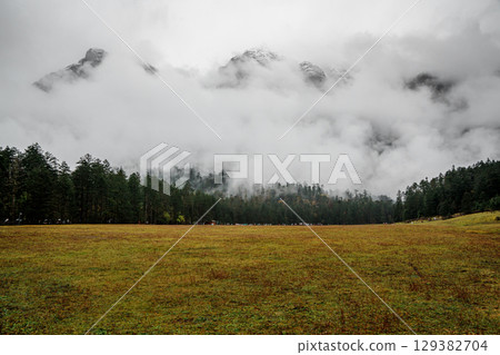 Misty Peaks Over Spruce Meadow in Yulong Snow Mountain, Lijiang, China Misty Peaks Over Spruce Meadow in Yulong Snow Mountain, Lijiang, China 129382704