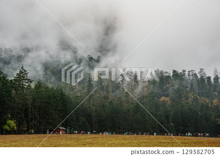 Misty Peaks Over Spruce Meadow in Yulong Snow Mountain, Lijiang, China 129382705