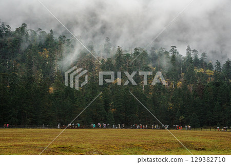 Misty Peaks Over Spruce Meadow in Yulong Snow Mountain, Lijiang, China 129382710