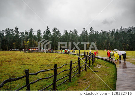 isitors Walking Along Wooden Pathway in Spruce Meadow, Yulong Snow Mountain, China 129382716