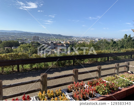 從山上看到的城市風景 129383343