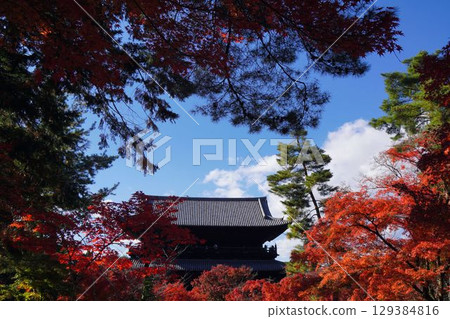 秋葉在京都 秋葉在京都 129384816