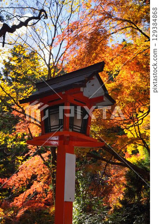 Autumn leaves in Kyoto 129384868