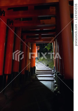 Fushimi Inari Shrine late at night when no one is there Fushimi Inari Shrine late at night when no one is there 129385036