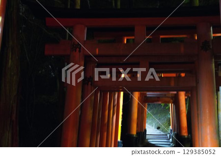 深夜無人的伏見稻荷大社 深夜無人的伏見稻荷大社 129385052