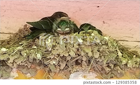 燕同學你好 燕同學你好 129385358