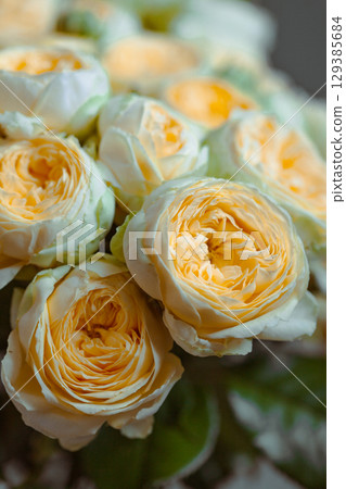 Beautiful yellow pion-shaped rose. Bouquet Shrub roses. Illuminating yellow. 129385684