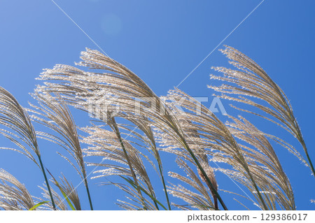 Spear of blue sky shine in the blue sky 129386017