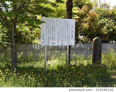 There is a monument with Issa's haiku at Sairinji Temple in Moriya City. 129386126