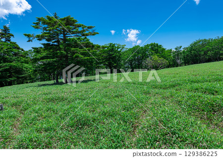 Odaigahara Ushiishihara Odaigahara Ushiishihara 129386225