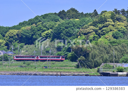 Kashima Rinkai Railway 6000 series diesel railcar running against the backdrop of fresh greenery Kashima Rinkai Railway 6000 series diesel railcar running against the backdrop of fresh greenery 129386383