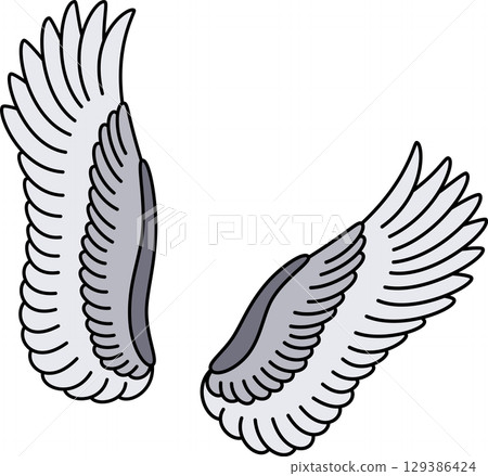 Grey fluffy bird wings 129386424