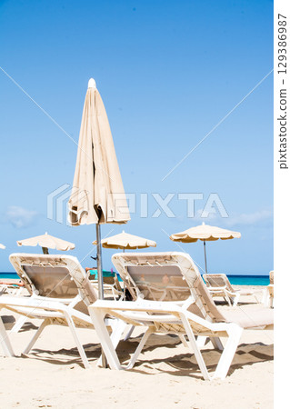 Parasols and beach beds lined up on the wide sandy beach along the coast on Fuerteventura Island Parasols and beach beds lined up on the wide sandy beach along the coast on Fuerteventura Island 129386987