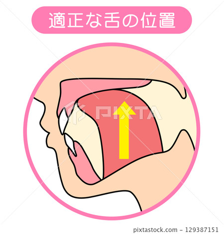 如何正確喵喵叫:正確且不正確的舌頭位置 如何正確喵喵叫:正確且不正確的舌頭位置 129387151