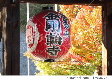 Autumn leaves at Kongorinji Temple [Aisacho, Aichi District, Shiga Prefecture] 129387749