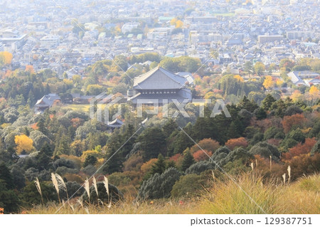 紅葉/若草山[奈良縣奈良市] 129387751