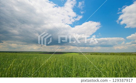 A Breathtaking Landscape Featuring Lush Fields Sprawled Under an Expansive, Dramatic Sky A Breathtaking Landscape Featuring Lush Fields Sprawled Under an Expansive, Dramatic Sky 129387917