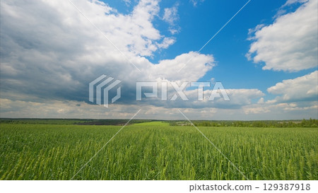 A Scenic and Lush Green Field That Lies Under a Beautiful and Dynamic Cloudy Sky Above It A Scenic and Lush Green Field That Lies Under a Beautiful and Dynamic Cloudy Sky Above It 129387918