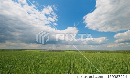 Stunningly Beautiful Scenic Landscape Showcasing Lush Green Fields Under a Clear Blue Sky 129387924