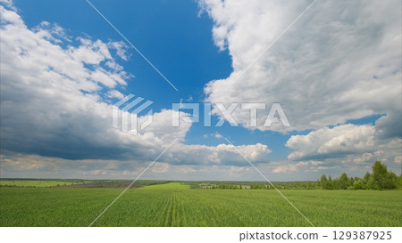 Expansive Green Fields Stretching Beneath a Beautifully Cloudy and Clear Blue Sky Above Expansive Green Fields Stretching Beneath a Beautifully Cloudy and Clear Blue Sky Above 129387925