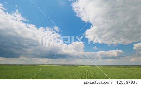 A Beautiful and Cloudy Sky Over a Lush and Vibrant Green Field on a Peaceful Day A Beautiful and Cloudy Sky Over a Lush and Vibrant Green Field on a Peaceful Day 129387933