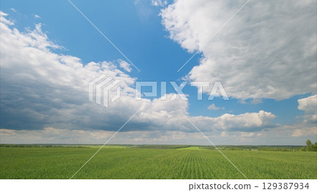 A Scenic Lush Green Field Spreading Beneath a Dynamic and Beautiful Cloudy Sky Above 129387934
