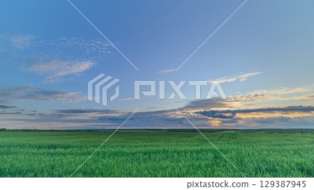 A Serene Agricultural Landscape Captured Beautifully at Dusk, Showcasing Natures Calm and Colors 129387945