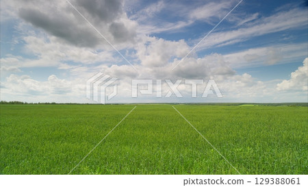 A Vibrant Green Field Spread Out Under a Beautifully Serene Sky That Enlivens the Land A Vibrant Green Field Spread Out Under a Beautifully Serene Sky That Enlivens the Land 129388061