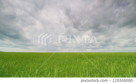 Expansive Green Fields Sprawling Beneath a Dramatically Cloudy and Dynamic Sky Above 129388080