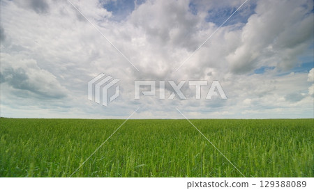 A Picturesque Expansive Green Field Sprawls Under a Dramatic and Cloudy Sky Above A Picturesque Expansive Green Field Sprawls Under a Dramatic and Cloudy Sky Above 129388089