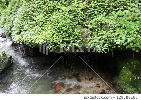 塔瑪塔雷瀑布，位於坎波瀑布下游 129388163