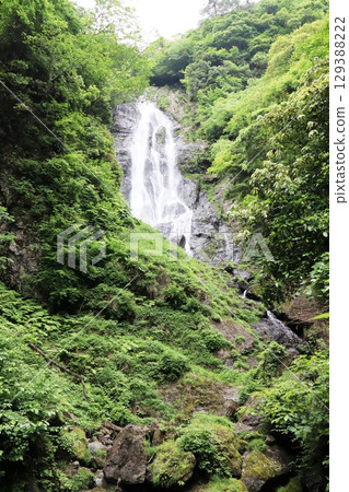 岡山縣真庭市神場瀑布自然公園 岡山縣真庭市神場瀑布自然公園 129388222