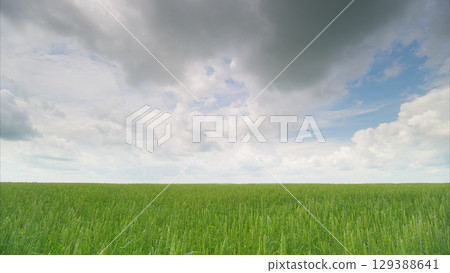 The Expansive Green Field Spreads Beautifully Under a Cloudy and Dynamic Sky Above The Expansive Green Field Spreads Beautifully Under a Cloudy and Dynamic Sky Above 129388641