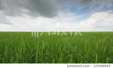 A Lush Green Field Sprawls Out Beneath a Dramatic and Beautiful Cloudy Sky Above A Lush Green Field Sprawls Out Beneath a Dramatic and Beautiful Cloudy Sky Above 129388649