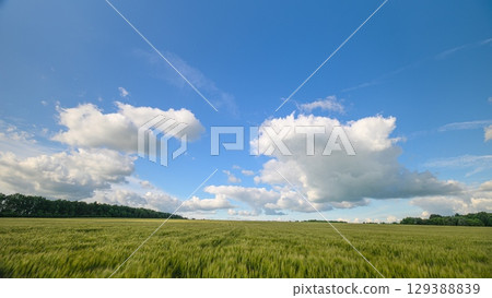 A Serene Landscape Featuring Lush Green Fields Set Against Dramatic Clouds Above A Serene Landscape Featuring Lush Green Fields Set Against Dramatic Clouds Above 129388839