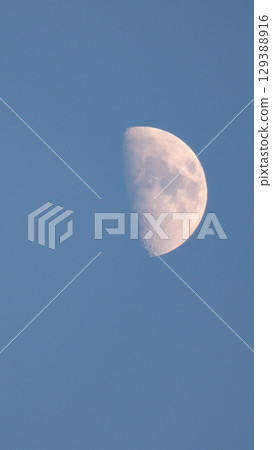 Close-up of orange full moon in the night sky. 129388916