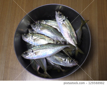 I caught a horse mackerel I caught a horse mackerel 129388982