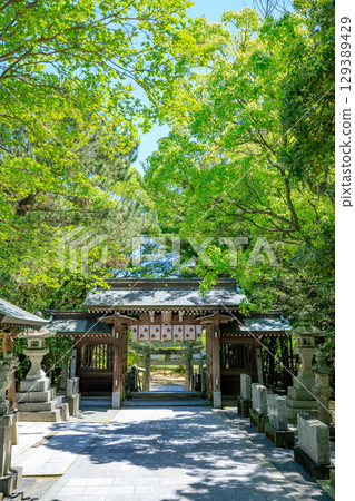 Shiki Shrine in early summer, Fukuoka City, Fukuoka Prefecture Shiki Shrine in early summer, Fukuoka City, Fukuoka Prefecture 129389429