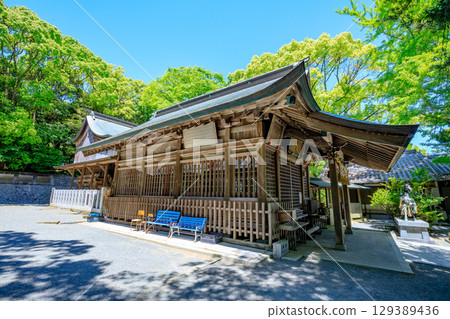 Shiki Shrine in early summer, Fukuoka City, Fukuoka Prefecture Shiki Shrine in early summer, Fukuoka City, Fukuoka Prefecture 129389436