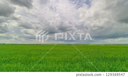 A Vast Lush Green Field Under Dramatic and Beautiful Clouds Displaying Natures Splendor A Vast Lush Green Field Under Dramatic and Beautiful Clouds Displaying Natures Splendor 129389547