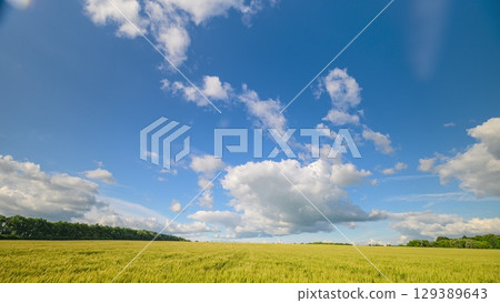 A beautiful sunny landscape featuring a clear blue sky dotted with fluffy white clouds 129389643