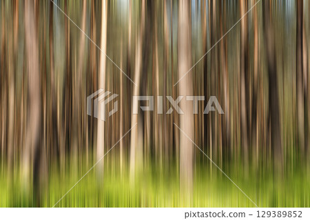 Pine forest in blur version. Abstract. 129389852
