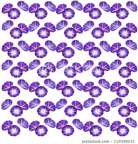 Morning glory wallpaper illustration Morning glory wallpaper illustration 129390032