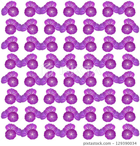 牽牛花桌布插圖 牽牛花桌布插圖 129390034
