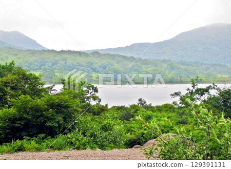 霧氣瀰漫的郡營小國沼 129391131