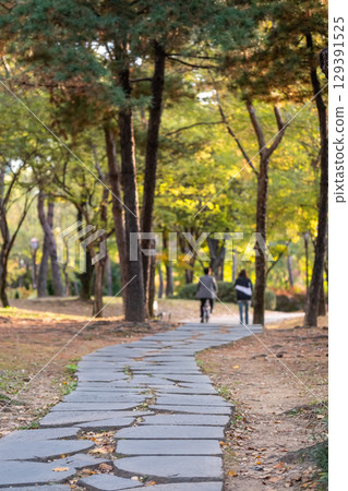 View of Yeouido Park, stone path walkway with colorful leaves tree, autumn foliage. It is a park in Yeongdeungpo District, Seoul, South Korea. View of Yeouido Park, stone path walkway with colorful leaves tree, autumn foliage. It is a park in Yeongdeungpo District, Seoul, South Korea. 129391525