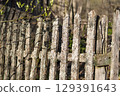 A Beautiful Rustic Wooden Fence Covered with Moss Surrounded by Natures Splendor 129391643
