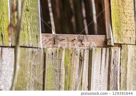 An Aged Weathered Wooden Structure Showcasing Unique Natural Textures and Intricate Details 129391644
